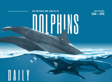 スクリーンショット 2025 11 30 203000 コピー